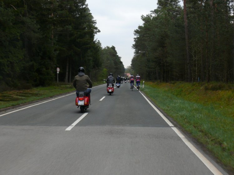 P1140137-k.jpg (image/jpeg)