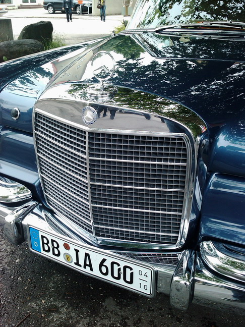 wangen_2010_26.jpg (image/jpeg)