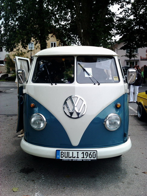 wangen_2010_30.jpg (image/jpeg)