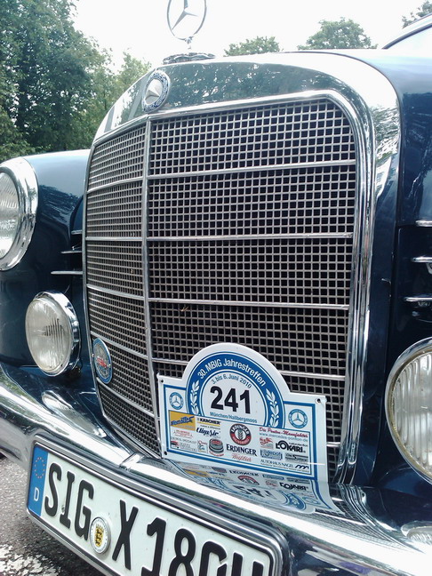 wangen_2010_33.jpg (image/jpeg)