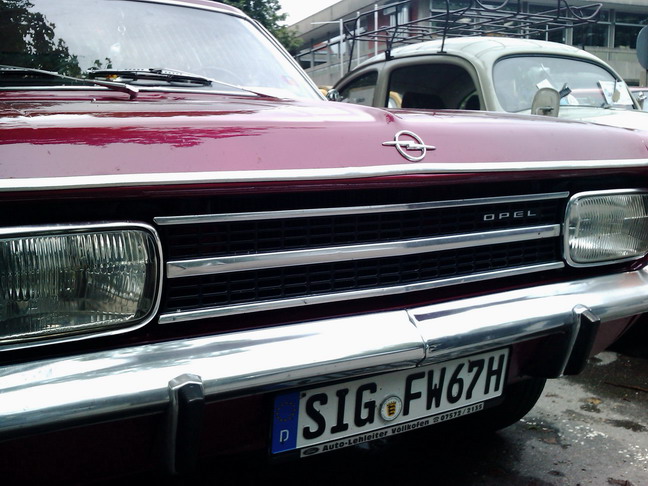 wangen_2010_47.jpg (image/jpeg)