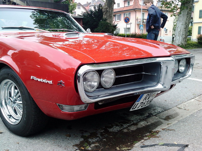 wangen_2010_60.jpg (image/jpeg)