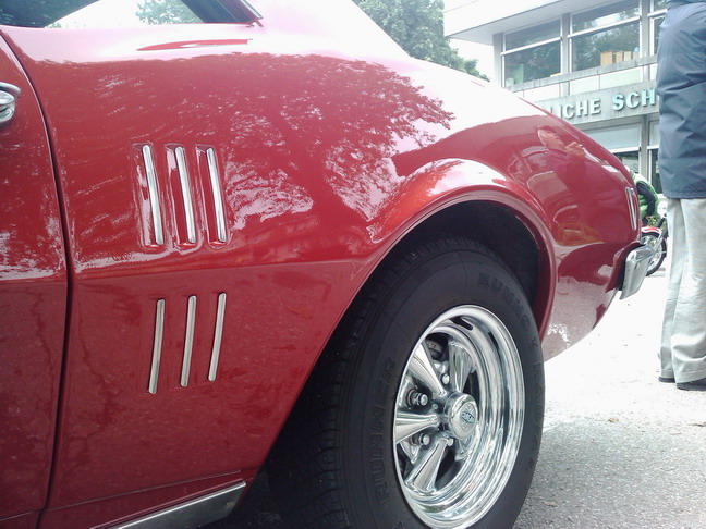 wangen_2010_64.jpg (image/jpeg)