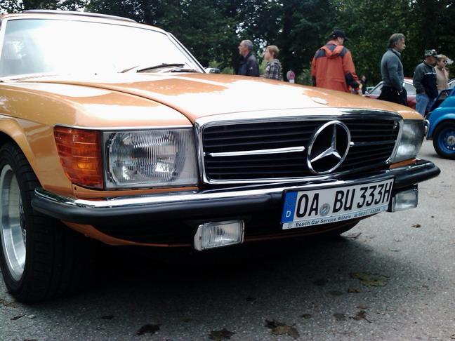 wangen_2010_69.jpg (image/jpeg)