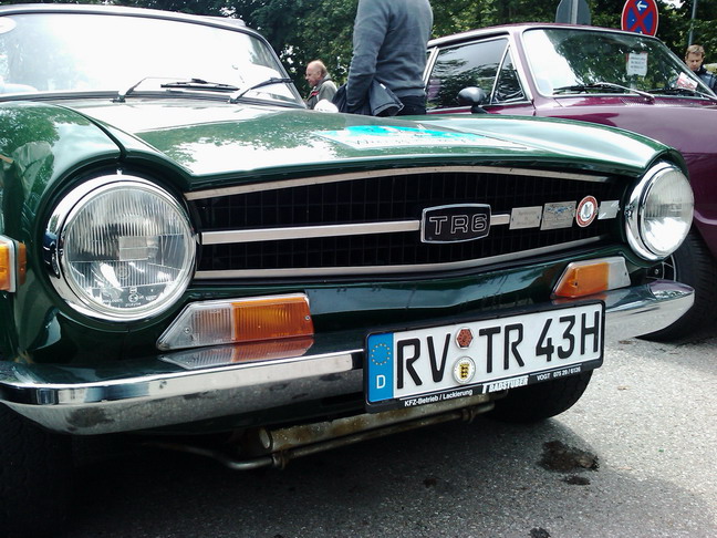 wangen_2010_71.jpg (image/jpeg)