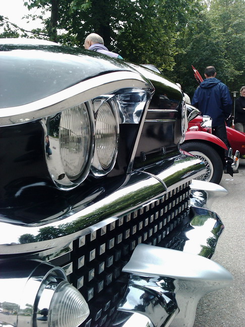 wangen_2010_81.jpg (image/jpeg)